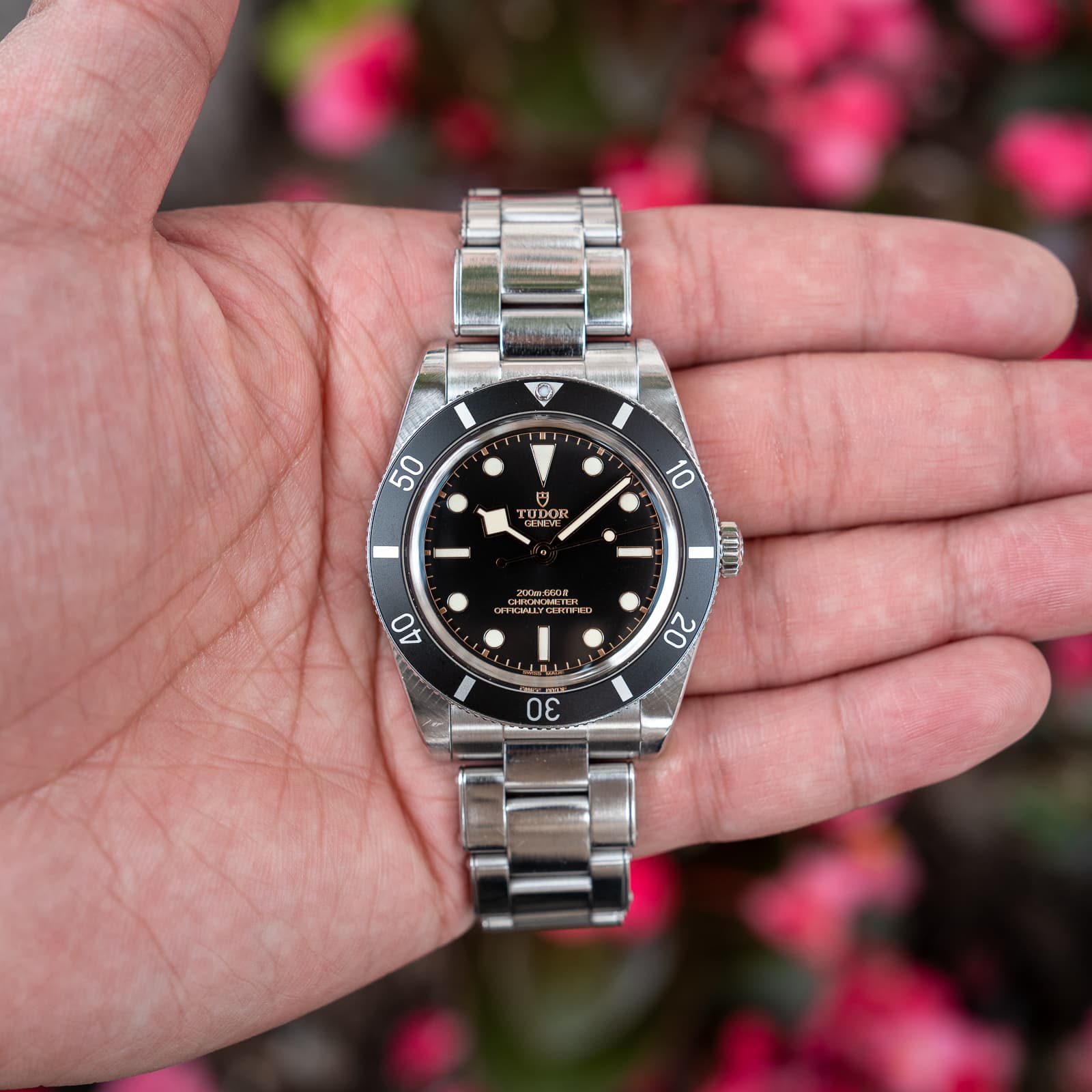 Tudor Black Bay 54 — image 1
