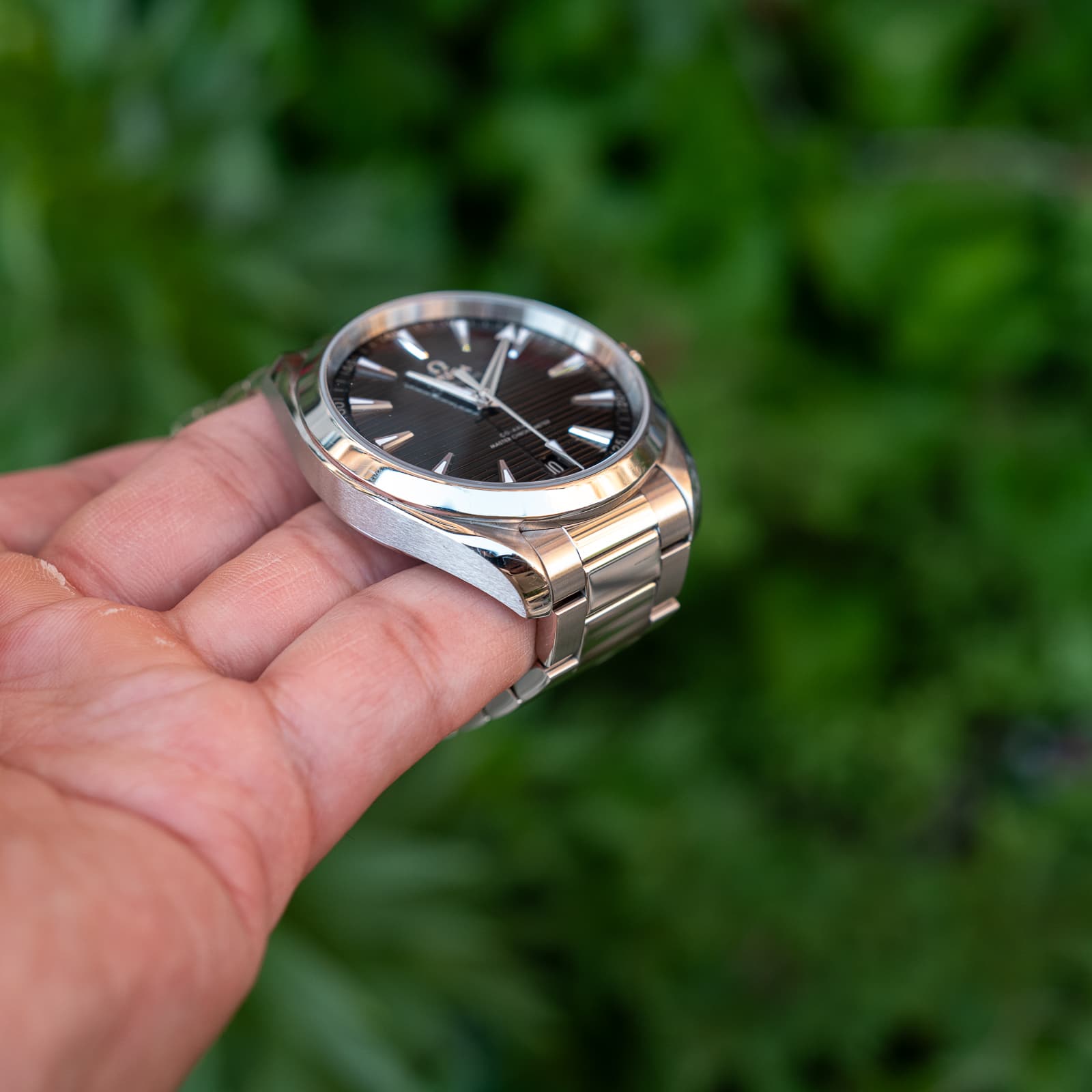 Omega Aqua Terra — image 2