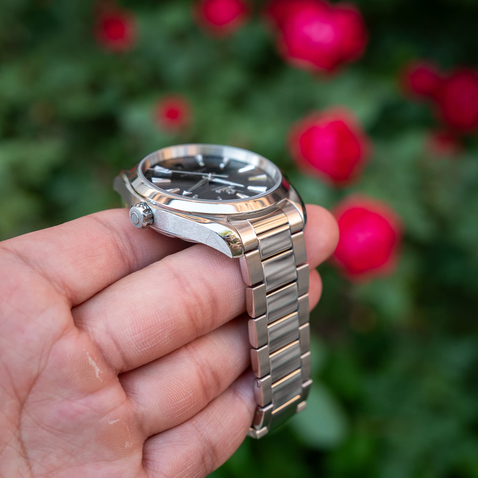Omega Aqua Terra — image 4