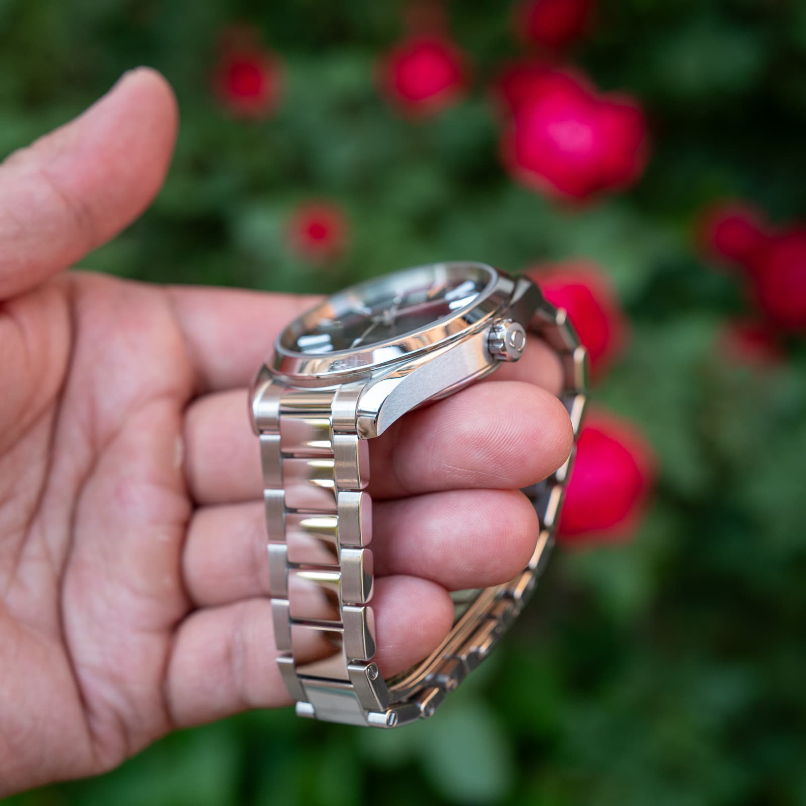 Omega Aqua Terra — image 3