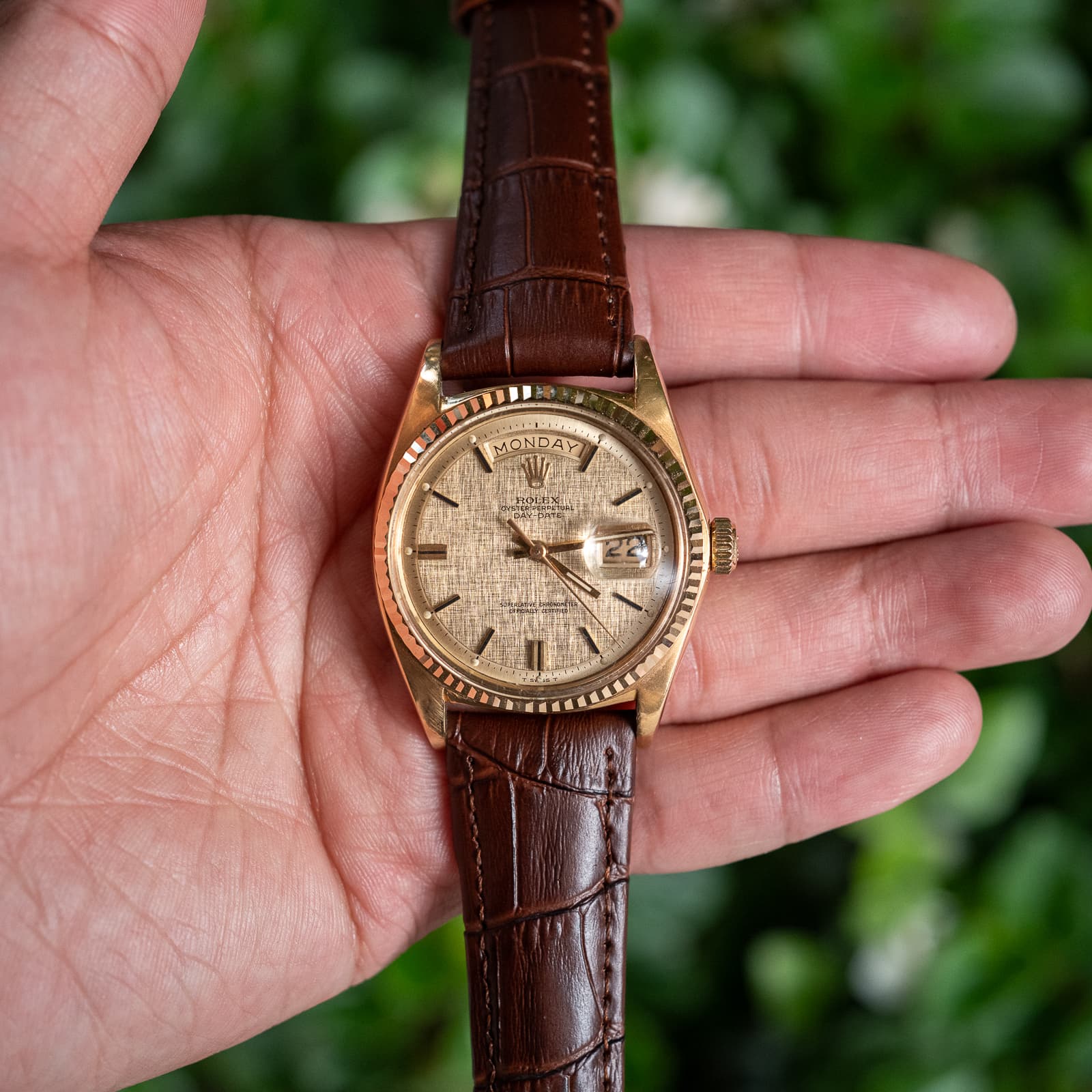 Rolex Day-Date